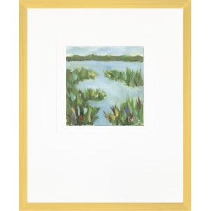 CC- MARSHES 2